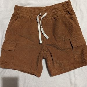 Brown Corduroy Men's Shorts